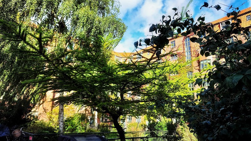 Njal Foto - billede 3