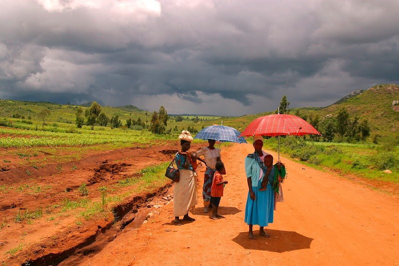 Tobisch og Guzzmann fotografi - billede 3