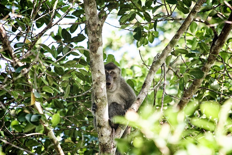 Lundberg Inc / Fotograf Lasse Lundberg Andreasen - billede 4