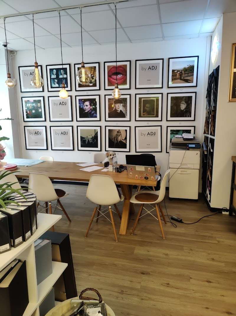 Shutterbug - billede 3