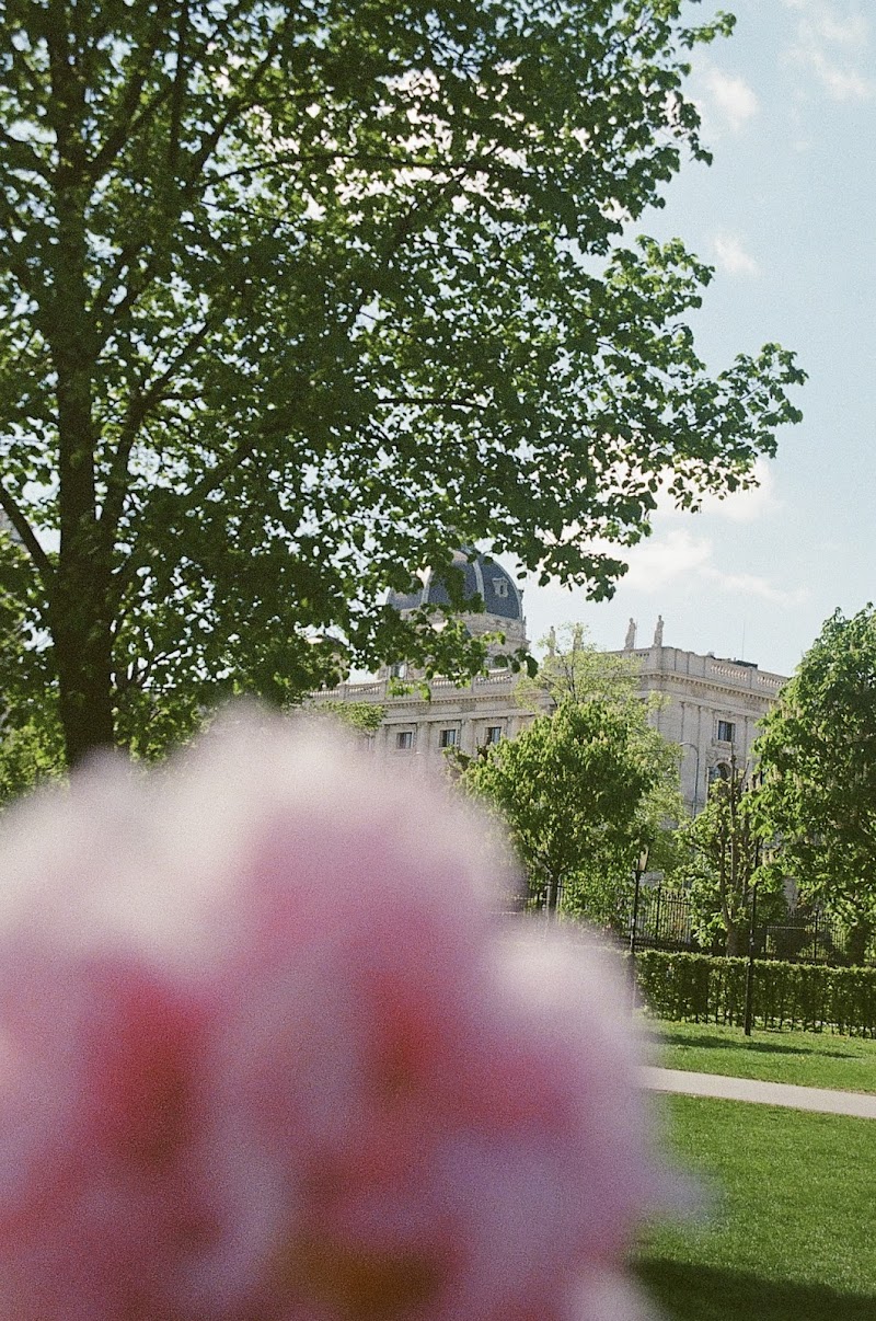 PhotoCare København K - billede 3