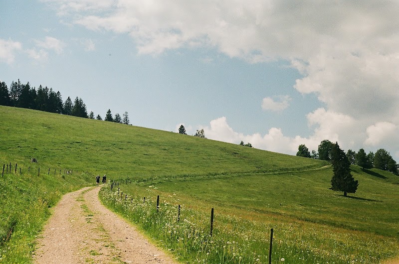 PhotoCare København K - billede 4